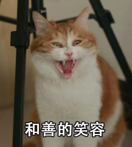 今日份的猛男表情包来了哟