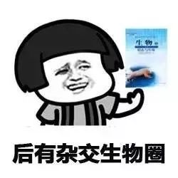 前方高能一大波生物表情包来袭,斗图再也不怕