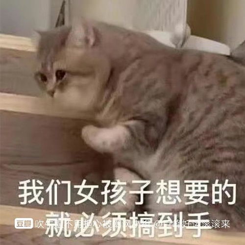 杰哥表情包让我康康晨起