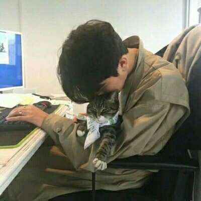 qq头像男生抱着宠物抱着猫的帅气头像