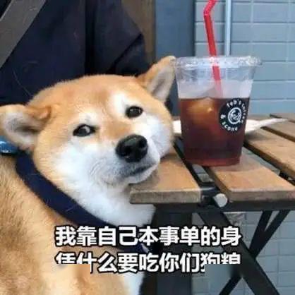 英格兰主帅出炉之后,索斯盖特竟然撒起了狗粮......