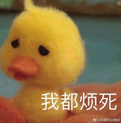 大家用过紫吕洗发水吗效果咋样