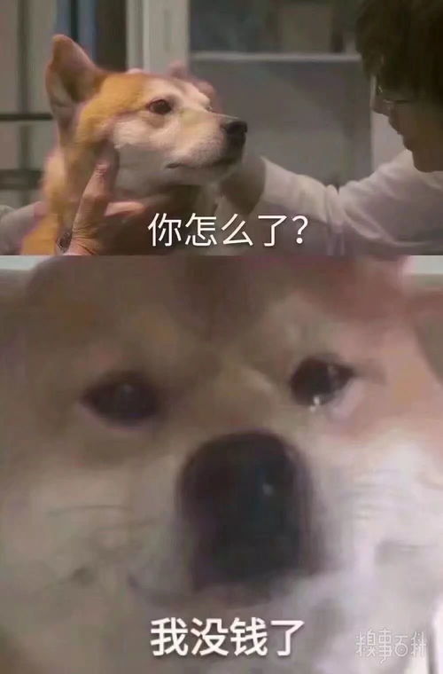 红包表情包可爱上限