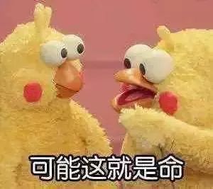 今天全省晴天回归阳光强天空蓝宜出游