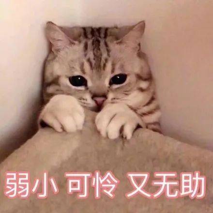 做家长比打工还难,做老师比做老板还爽