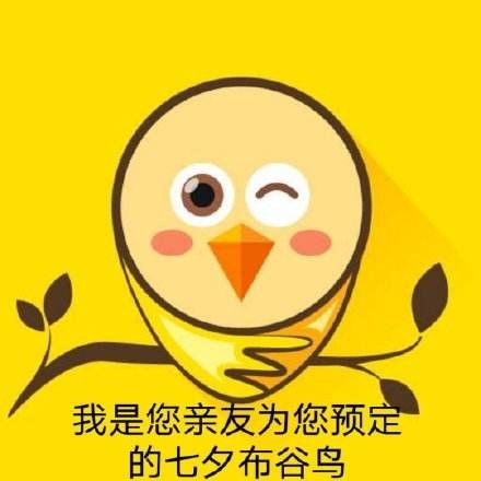 七夕布谷鸟表情包app下载七夕布谷鸟表情包原图附整蛊孤寡好友方法超好玩
