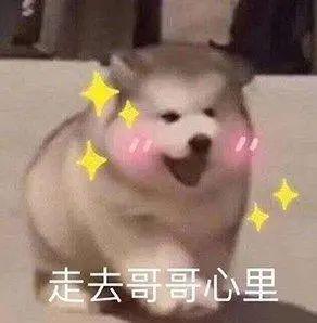 被落下的狗狗路边搭车追主人,过于聪明了