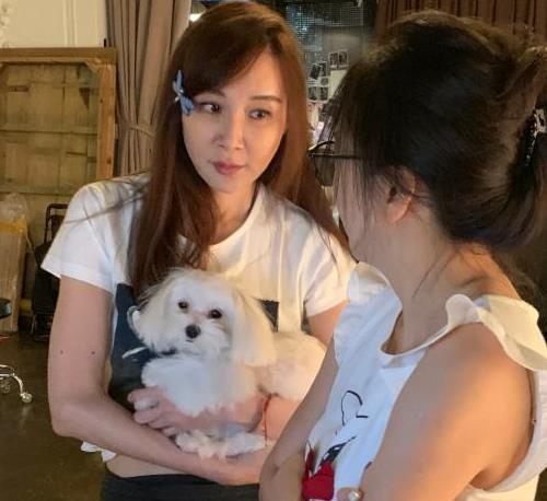 她曾经瞧不起林志玲,如今却处处模仿她,51岁整容装嗲