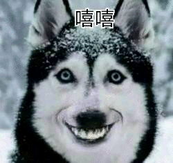 正版岫青晓白的微博微博