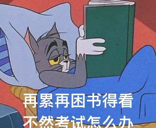 没想到2020年的第一周竟是这样充实且有趣