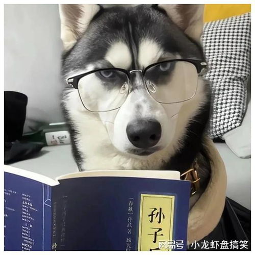 男人头像幽默感十足的男人香不香