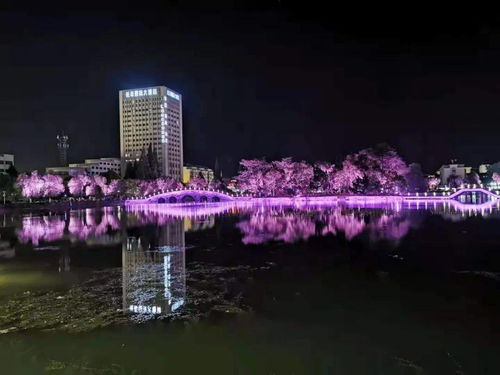 别端着,嗨起来长丰六条精品旅游线路邀您来打卡二