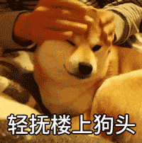 这绝对是史上最全的柴犬表情包了