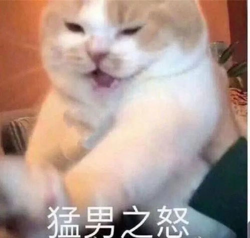 lisa被节目组恶意丑化不给打光和修容脸肿得像发面馒头...