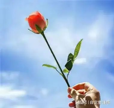 人生中,你若舍得放弃,必将好运相随