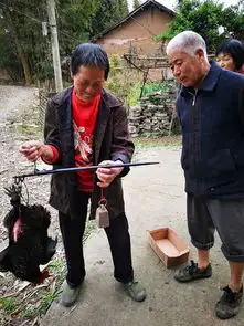 80后小伙月入万为啥要辞职卖土货