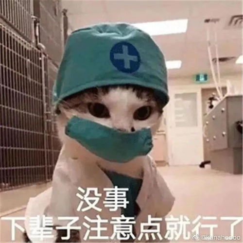 姐妹们康康鞋进瘦二十