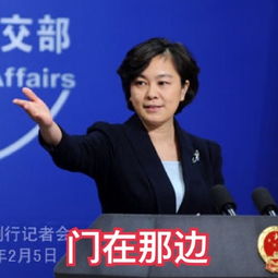 南海仲裁案结果公布外交部发言人威严表情包高清无水印免费下载