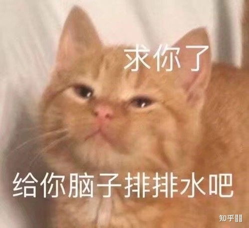 当马嘉祺的同学是一种怎样的体验
