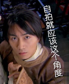 陈晓版神雕杨过表情包