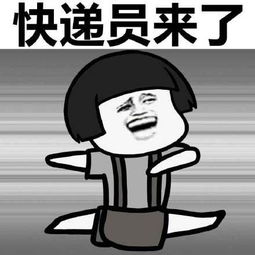 双十一搞笑表情包大全快递员来了