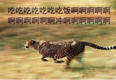 吃好喝好,长生不老