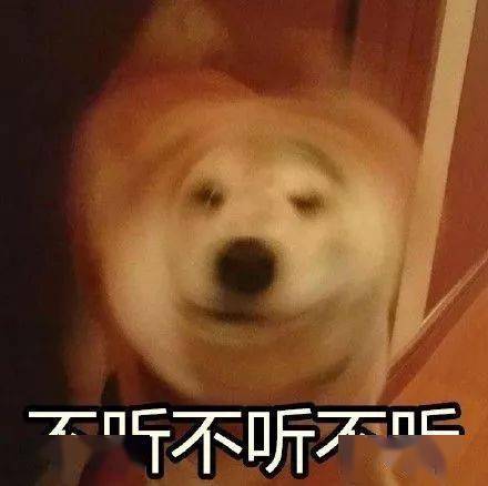 10级大风诸暨接下来的天气,慌兮兮