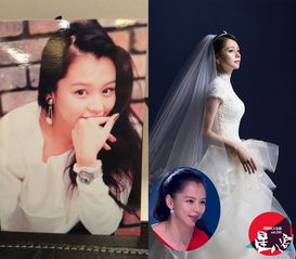 周迅赵薇李冰冰徐若瑄俞飞鸿盘点40岁还是一枝花的女星