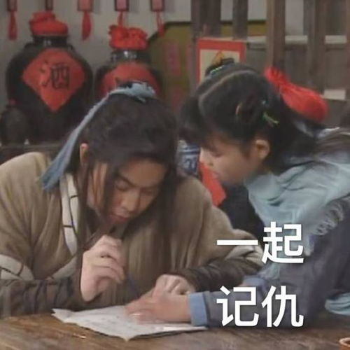 记仇表情包武林外传版