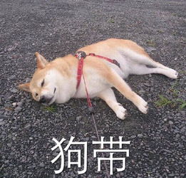 i笑青岛99天后并不是春节假期,而且国庆之后就再也没有假可放