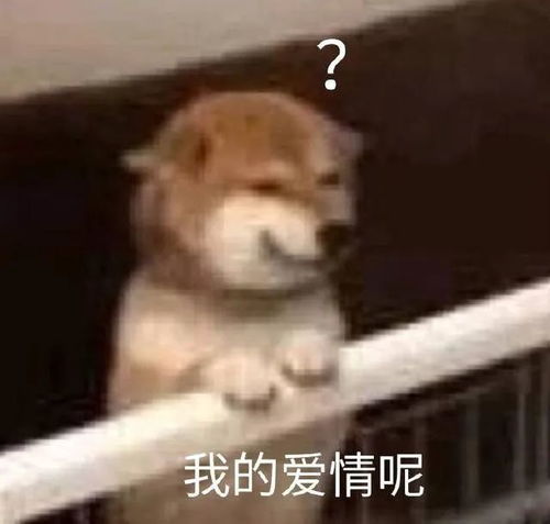 女朋友正在考研,我该怎样做才能算是称职的男朋友