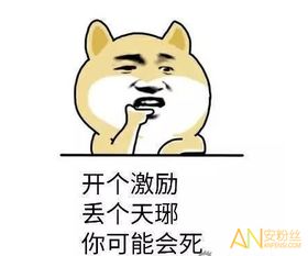 诛仙聊天表情包诛仙手游聊天表情大全诛仙手游聊天斗图表情包安粉丝手游网