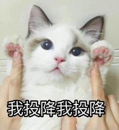 易烊千玺为什么有那么多迷妹和亲妈粉看完节目我懂了