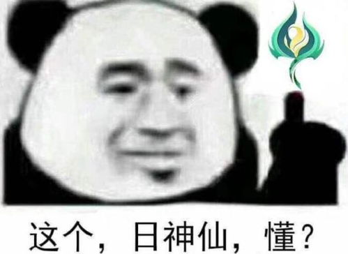 西山居策划有多傲慢看完药宗技改后的境遇,剑三老玩家心凉了