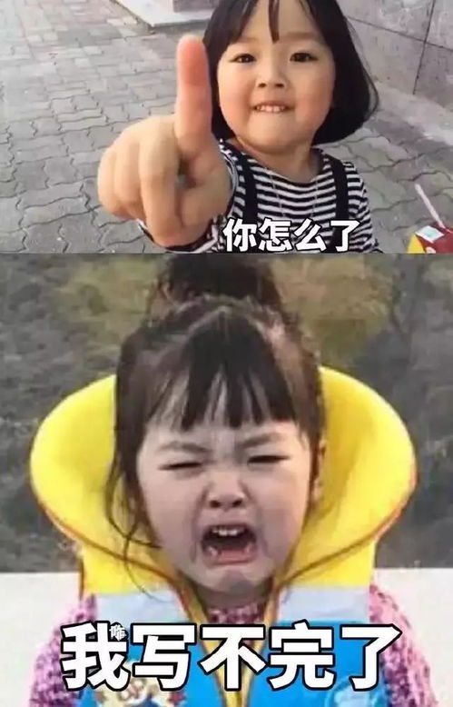 表情包你们玩吧,我要写寒假作业