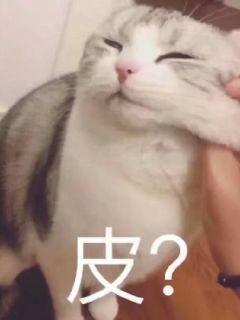皮而卡传