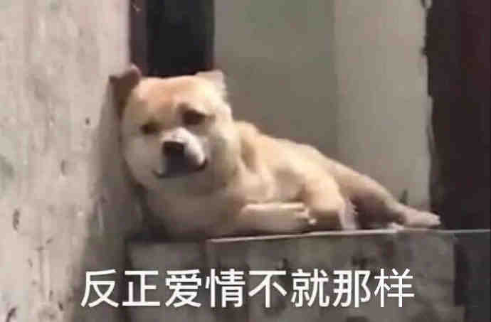 今日份表情包来啊,骂街啊,辣鸡