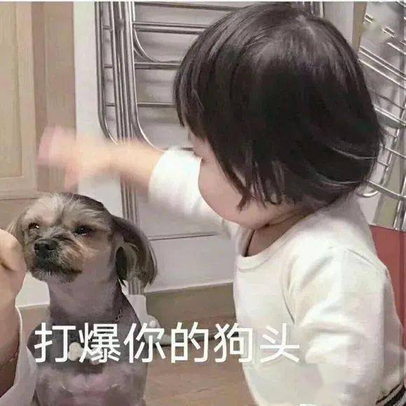 沙雕表情包瞧一瞧