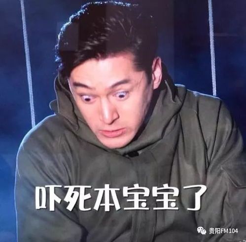 渣渣辉表情包gifpoyd