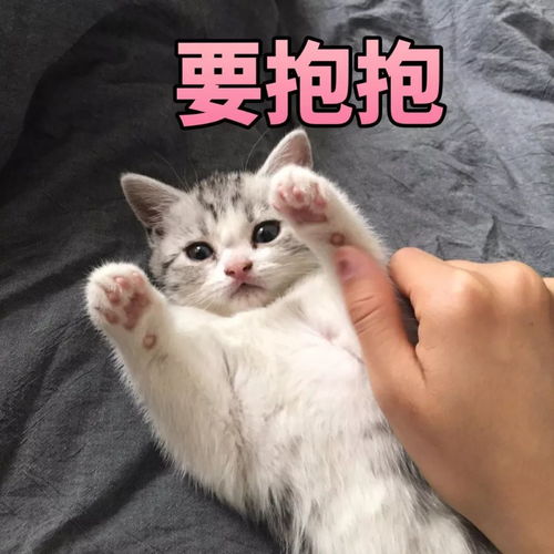 轮番上微博热搜,原因却大相径庭这个女团最近有点忙