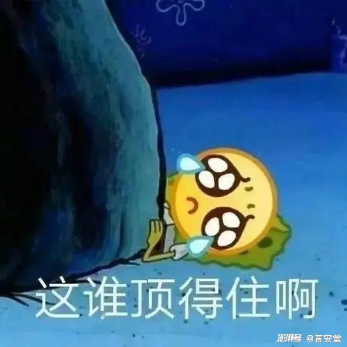 身材羞辱双开门的韩国人,放不下小码焦虑
