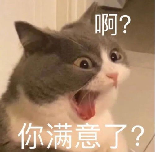 搞笑表情包更新我懂的,这就是生活
