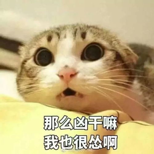 烧脑表情
