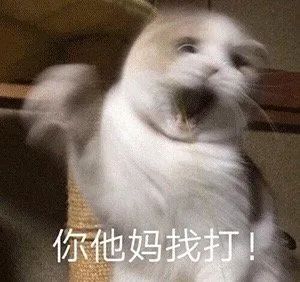 最逗比的搞笑故事,简短幽默,专治不开心