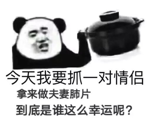 弹琴表情包恋爱定律