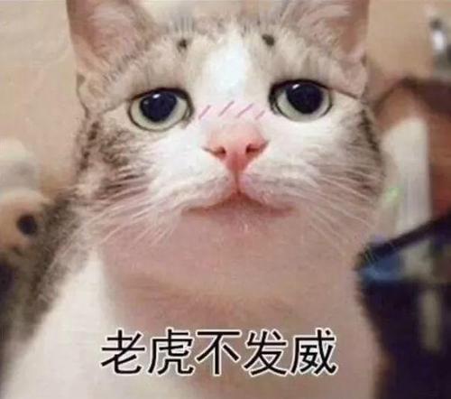 表情包没关系,我可以等你回我