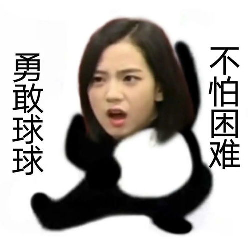 勇敢球球,不怕困难金智秀jisoo表情包