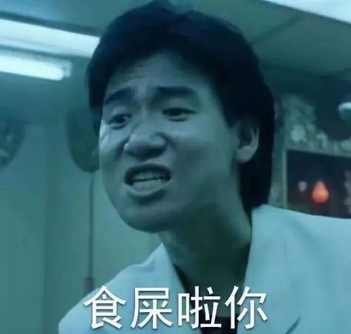 豹毙表情包dmo
