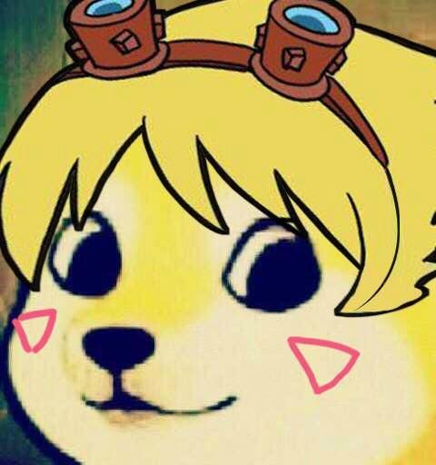 魔性猥琐神烦狗表情包看我猥琐的小眼神,爱我你怕了吗
