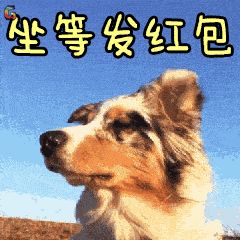 红包表情包可爱狗年